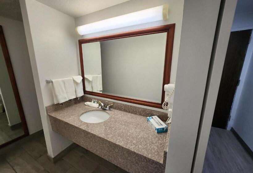 غرفة قياسية سرير كينج, Clarion Inn Idaho Falls Riverfront