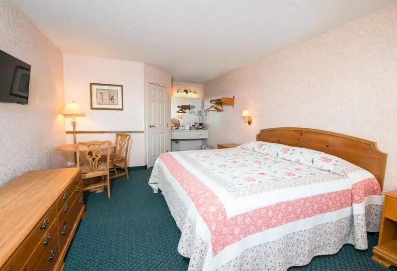 ２ダブルベッドのスタンダードルーム, Our Guest Inn And Suites   Downtown