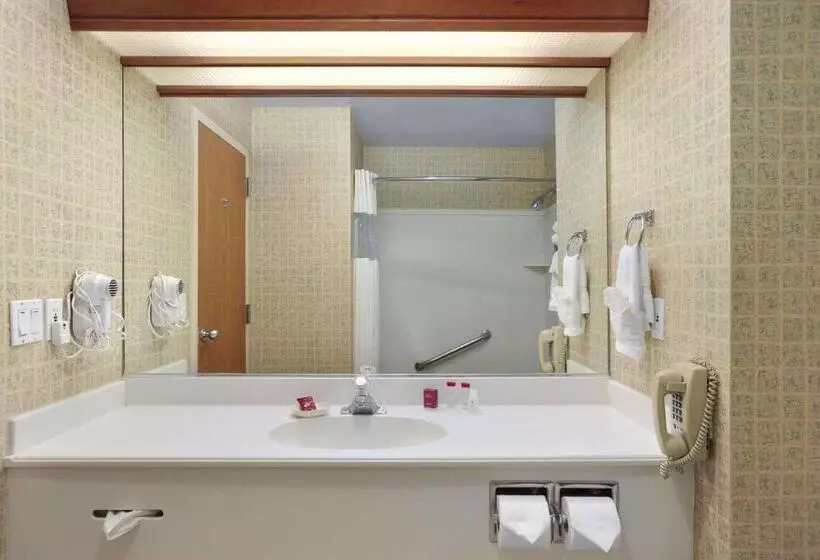 سوئیت با تخت بزرگ, Ramada By Wyndham Olympia