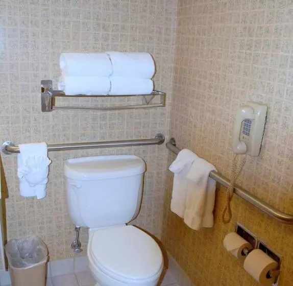 اتاق دلوکس مخصوص معلولین, Ramada By Wyndham Olympia