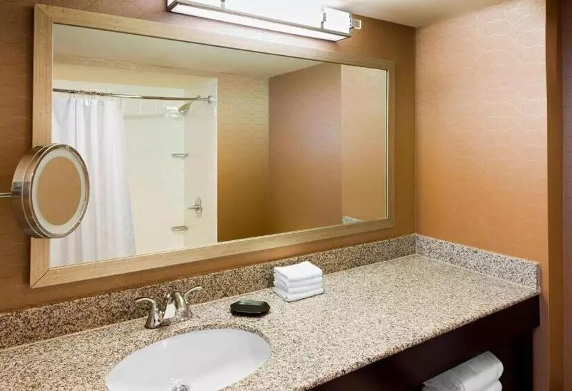 キングサイズベッドのスタンダードルーム, Sheraton Hotel Metairie New Orleans