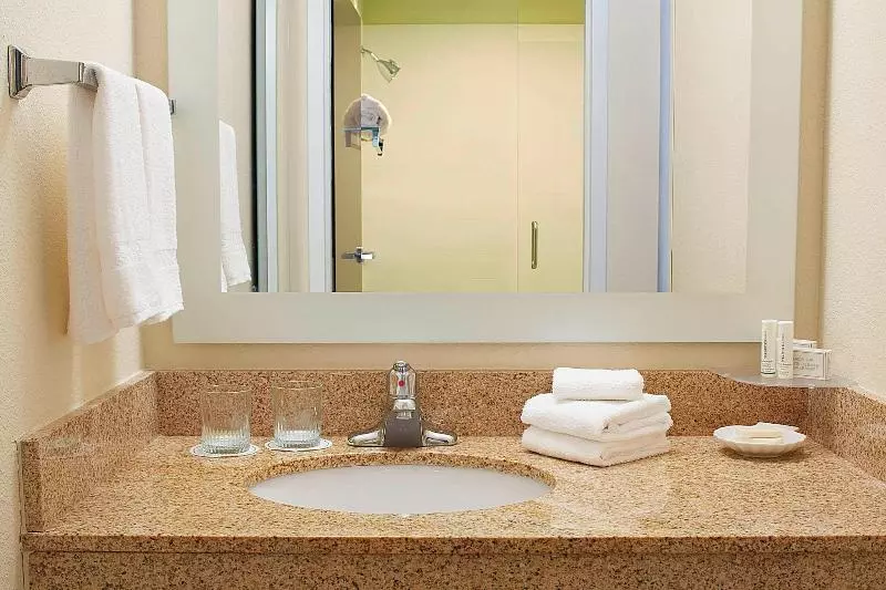 キングサイズベッドのスイートルーム, Springhill Suites By Marriott Atlanta Six Flags