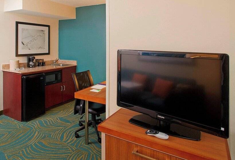 جناح لذوى الاحتياجات الخاصة, Springhill Suites By Marriott Atlanta Six Flags