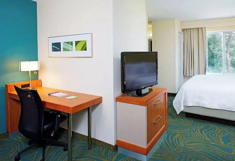 身障者適用スイートルーム, Springhill Suites By Marriott Atlanta Six Flags