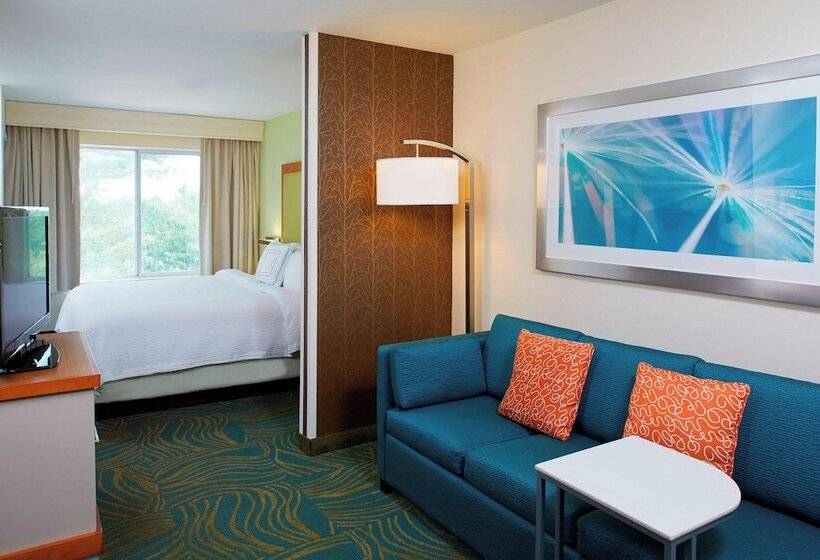 جناح لذوى الاحتياجات الخاصة, Springhill Suites By Marriott Atlanta Six Flags