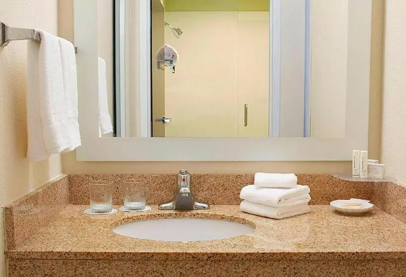 キングサイズベッドのスイートルーム, Springhill Suites By Marriott Atlanta Six Flags