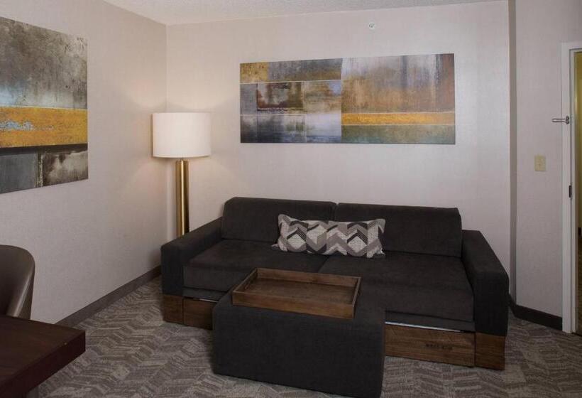 Люкс Кровать Кинг, Springhill Suites By Marriott Billings