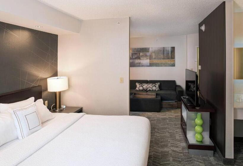 스위트 킹사이즈 침대, Springhill Suites By Marriott Billings