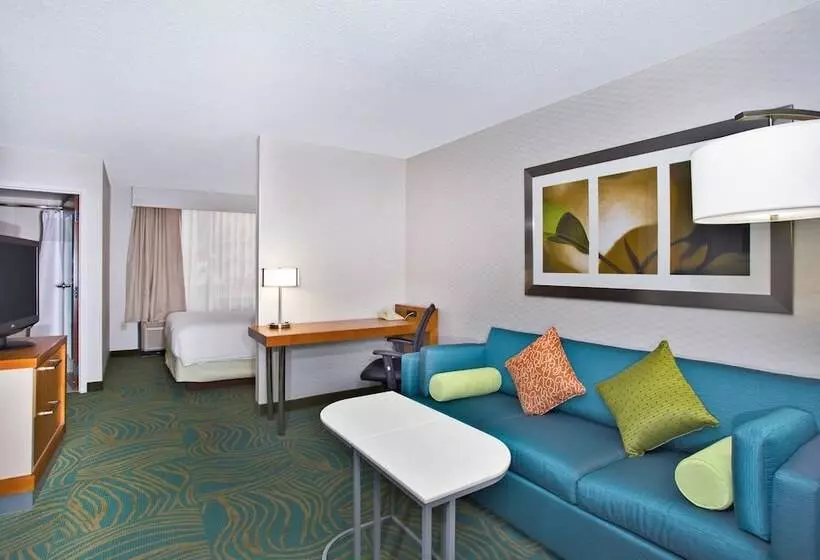 エクゼクティブスイート, Springhill Suites By Marriott Chicago Southwest At Burr Ridge Hinsdale