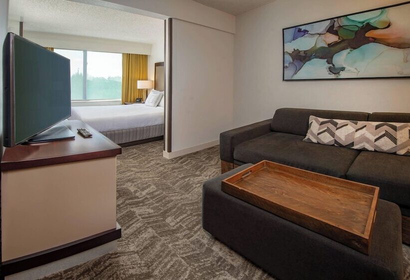جناح, Springhill Suites Centreville Chantilly