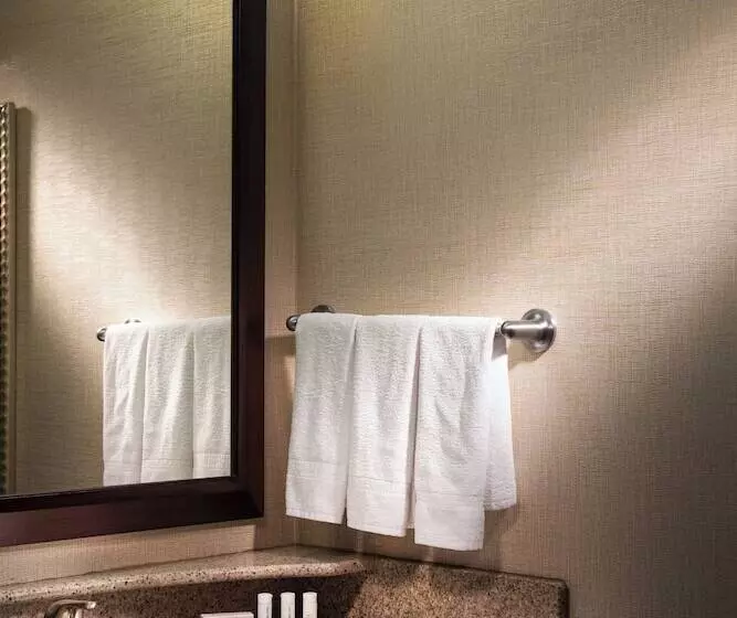 سوییت, Springhill Suites Dallas Dfw Airport North/grapevine