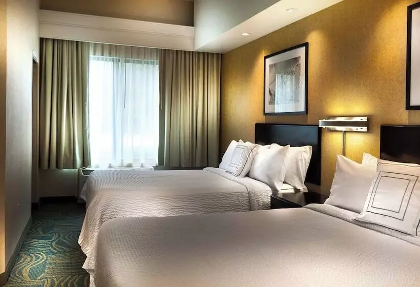 سوییت, Springhill Suites Dallas Dfw Airport North/grapevine