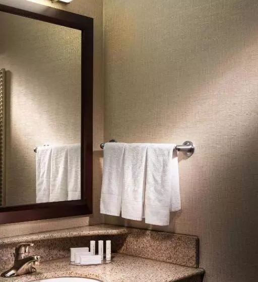 سوئیت با تخت بزرگ, Springhill Suites Dallas Dfw Airport North/grapevine