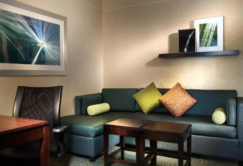 سوئیت با تخت بزرگ, Springhill Suites Dallas Dfw Airport North/grapevine
