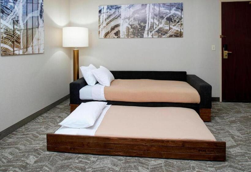 Студия Стандарт, Springhill Suites By Marriott Frankenmuth