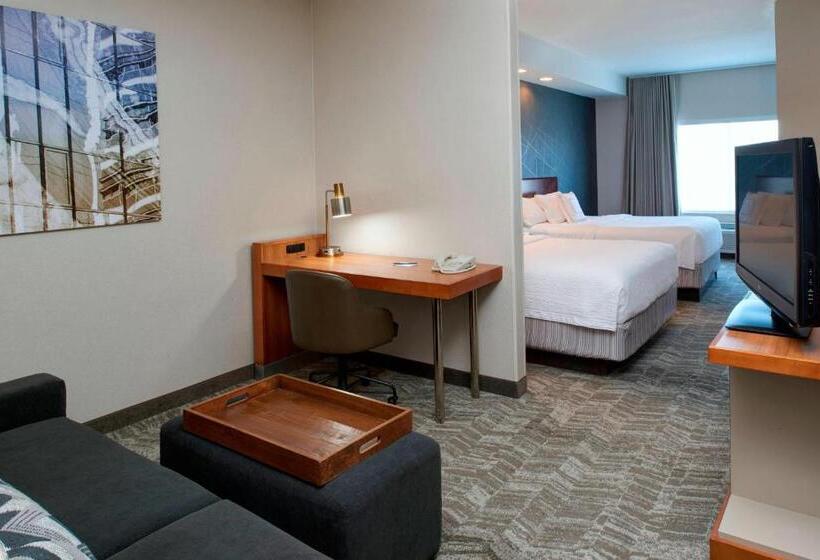 标准工作室, Springhill Suites By Marriott Frankenmuth