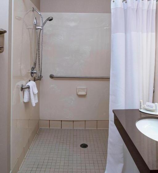 Студио Стандарт Кровать Кинг, Springhill Suites By Marriott Frankenmuth