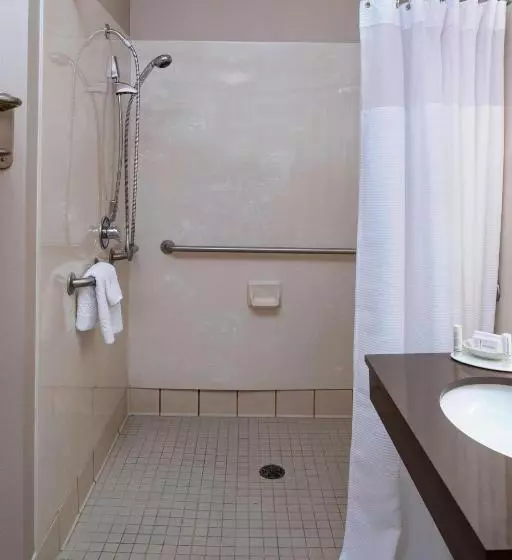 キングサイドベッドのスタンダードワンルーム, Springhill Suites By Marriott Frankenmuth