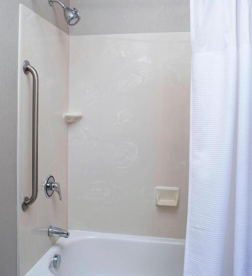 带大床的标准工作室, Springhill Suites By Marriott Frankenmuth