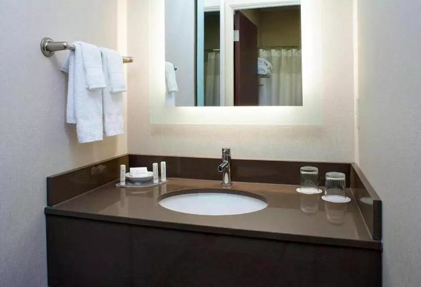 キングサイドベッドのスタンダードワンルーム, Springhill Suites By Marriott Frankenmuth