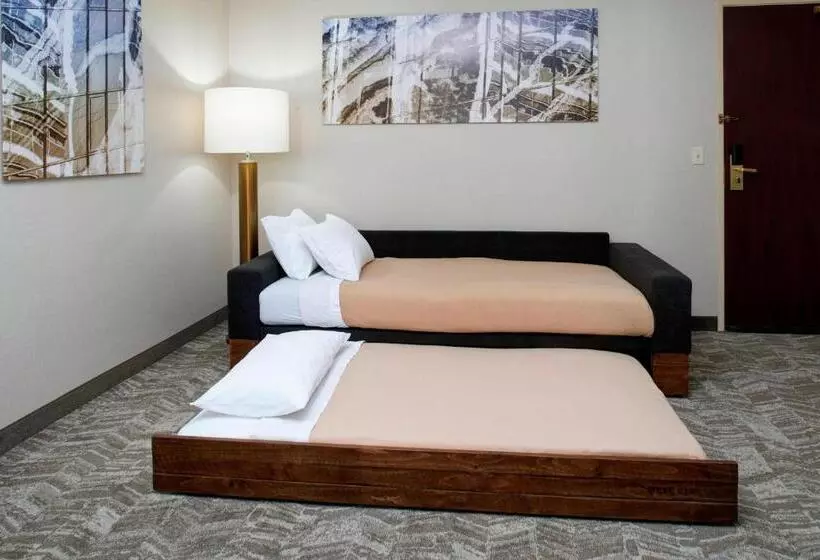 キングサイドベッドのスタンダードワンルーム, Springhill Suites By Marriott Frankenmuth