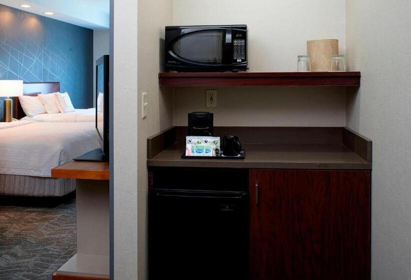 Студио Стандарт Кровать Кинг, Springhill Suites By Marriott Frankenmuth
