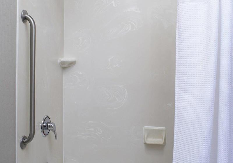 带大床的标准工作室, Springhill Suites By Marriott Frankenmuth