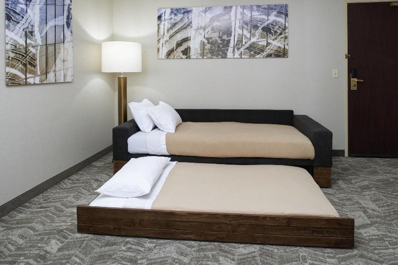 带大床的标准工作室, Springhill Suites By Marriott Frankenmuth