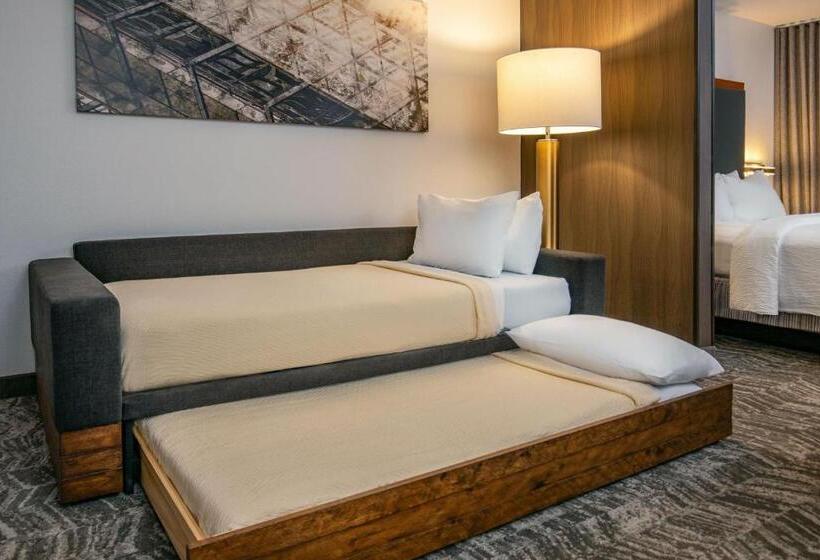 スタンダードスタジオ, Springhill Suites By Marriott Hershey Near The Park