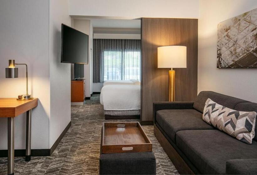 スタンダードスタジオ, Springhill Suites By Marriott Hershey Near The Park