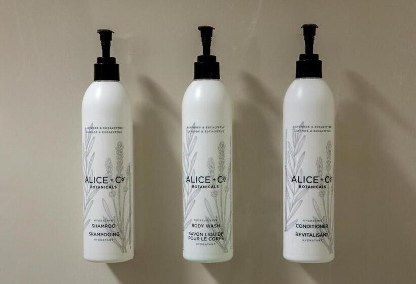 スタンダードスタジオ, Springhill Suites By Marriott Hershey Near The Park