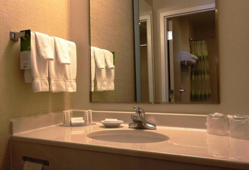 带大床的标准工作室, Springhill Suites By Marriott Hershey Near The Park