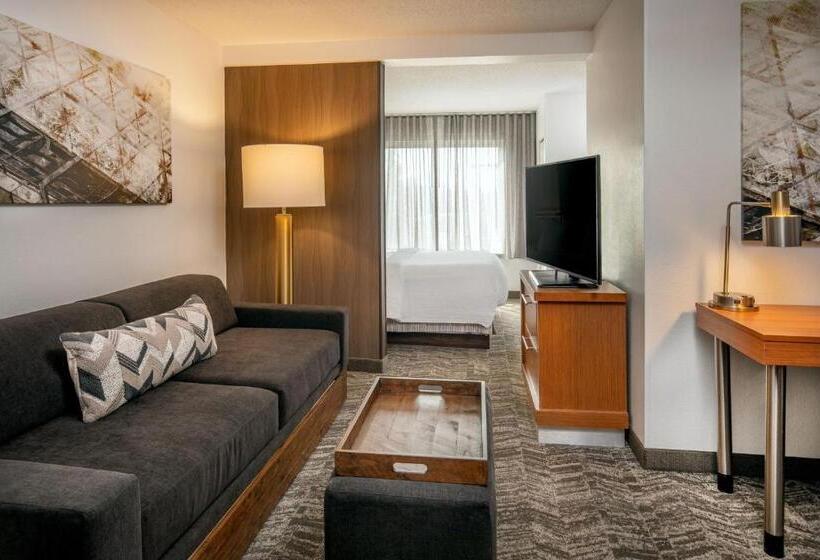 キングサイドベッドのスタンダードワンルーム, Springhill Suites By Marriott Hershey Near The Park