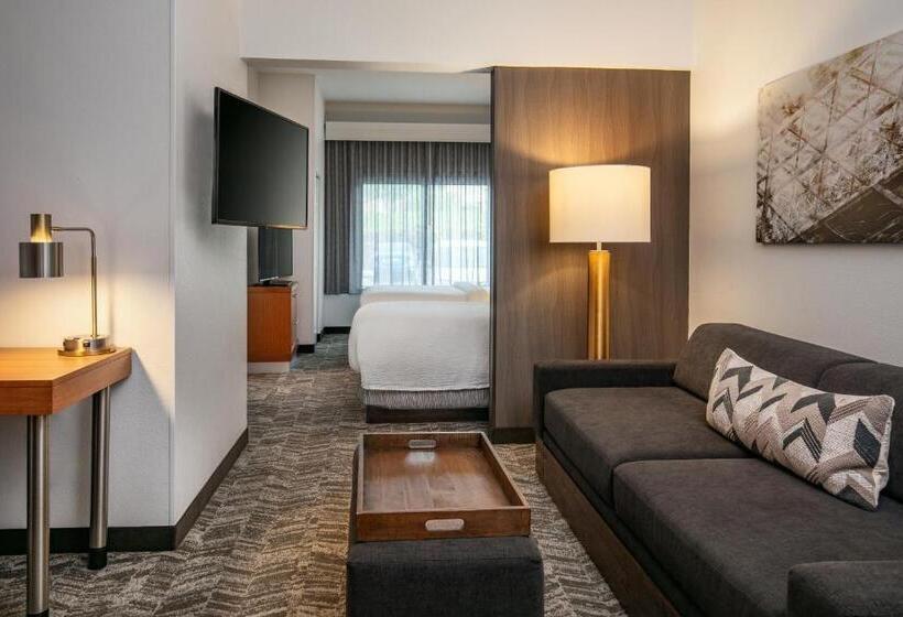 スタンダードスタジオ, Springhill Suites By Marriott Hershey Near The Park