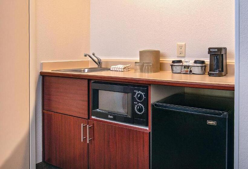 キングサイドベッドのスタンダードワンルーム, Springhill Suites By Marriott Hershey Near The Park