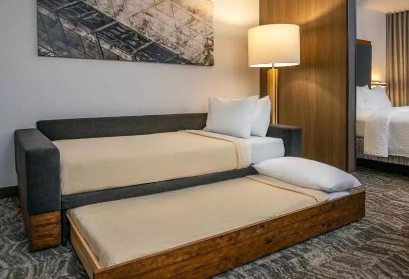 キングサイドベッドのスタンダードワンルーム, Springhill Suites By Marriott Hershey Near The Park