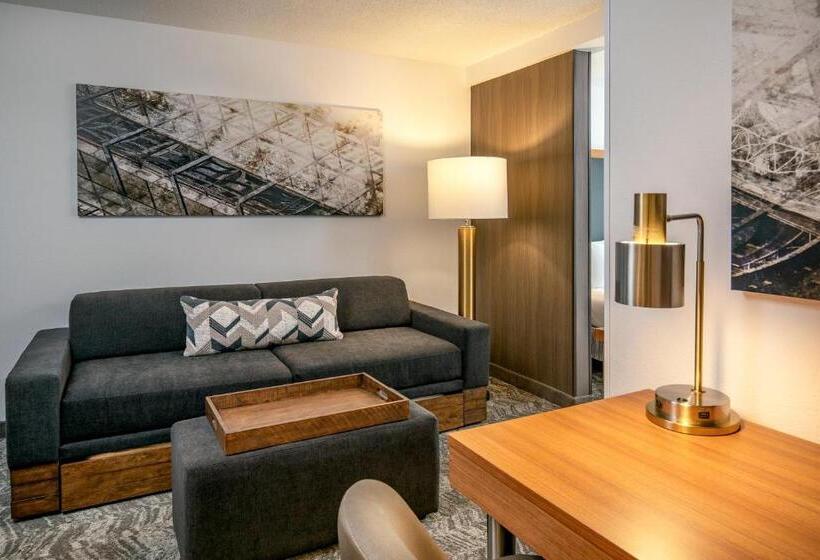 带大床的标准工作室, Springhill Suites By Marriott Hershey Near The Park