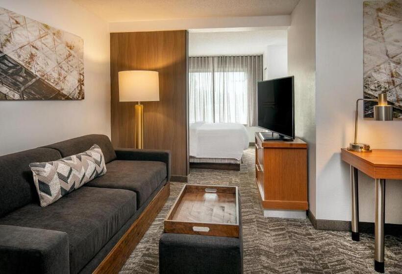 キングサイドベッドのスタンダードワンルーム, Springhill Suites By Marriott Hershey Near The Park