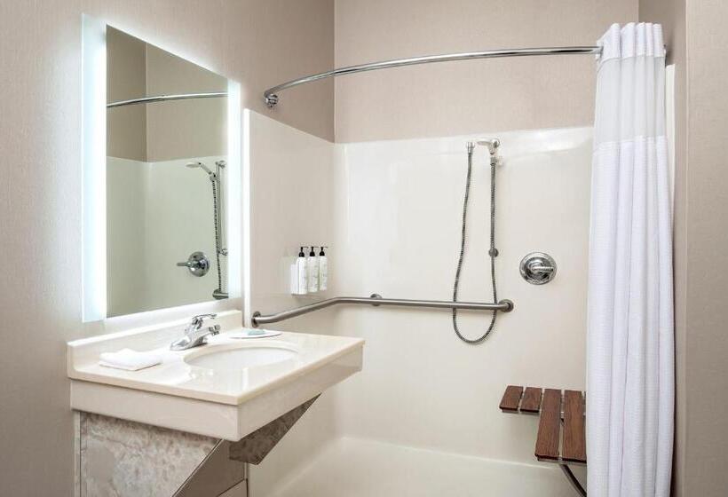 标准工作室, Springhill Suites By Marriott Hershey Near The Park