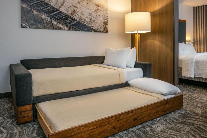 带大床的标准工作室, Springhill Suites By Marriott Hershey Near The Park