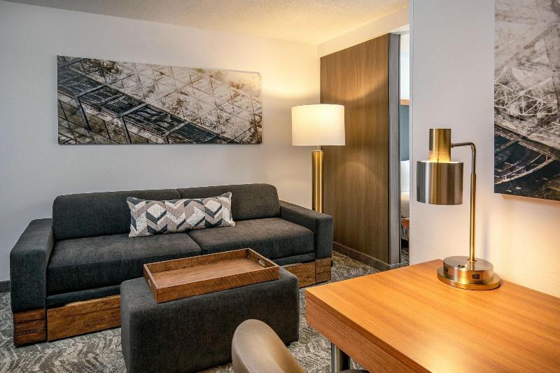 キングサイドベッドのスタンダードワンルーム, Springhill Suites By Marriott Hershey Near The Park