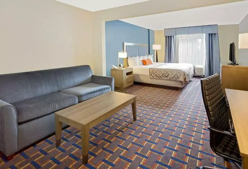 キングサイズベッドのスタンダードルーム, Comfort Inn & Suites Arlington Heights   Schaumburg