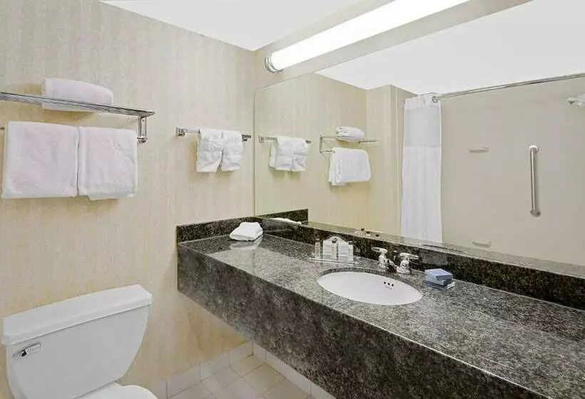キングサイズベッドのスタンダードルーム, Comfort Inn & Suites Arlington Heights   Schaumburg