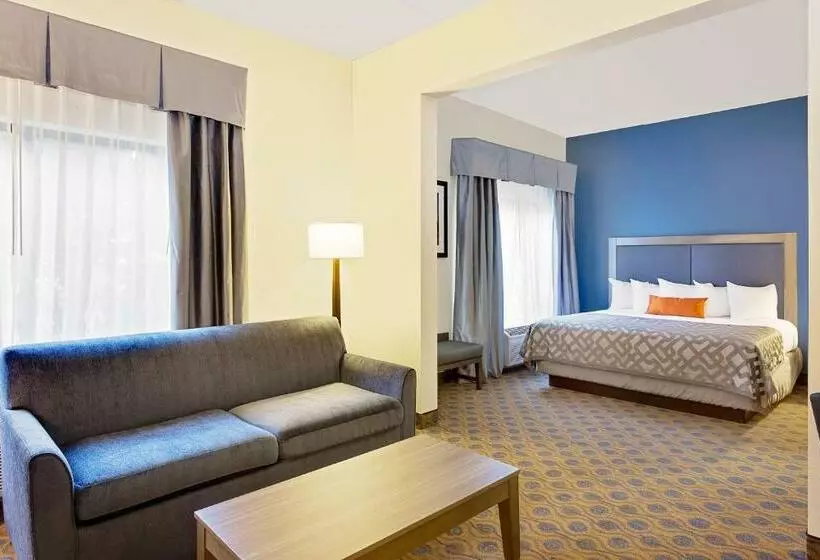 キングサイズベッドのデラックススイート, Comfort Inn & Suites Arlington Heights   Schaumburg