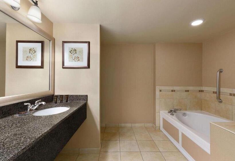 غرفة قياسية, Wingate By Wyndham Denver Tech Center