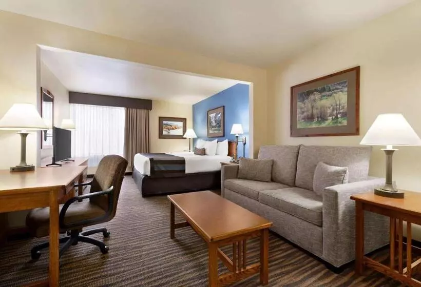キングサイズベッドのデラックスルーム, Wingate By Wyndham Denver Tech Center