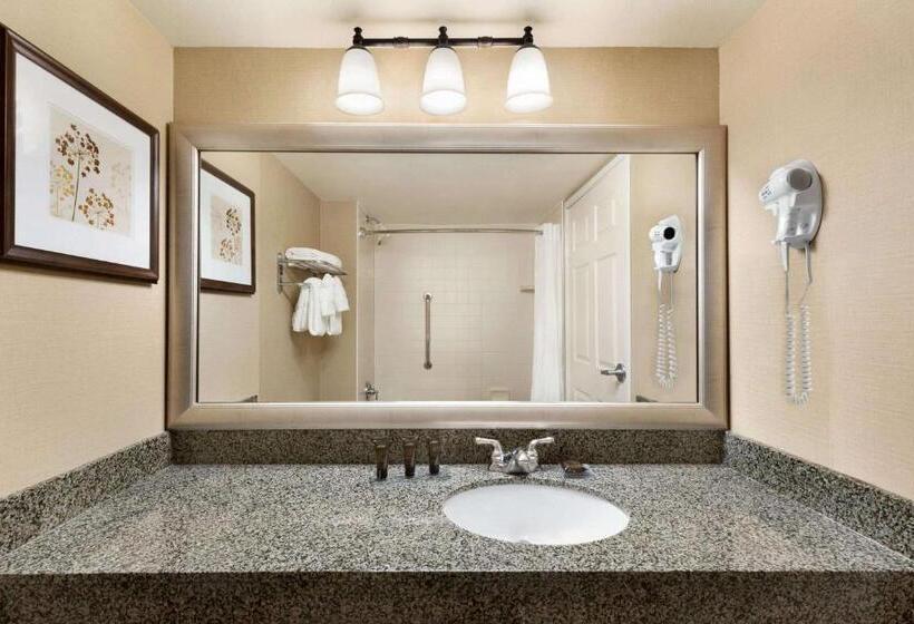 غرفة ديلوكس سرير كينج, Wingate By Wyndham Denver Tech Center