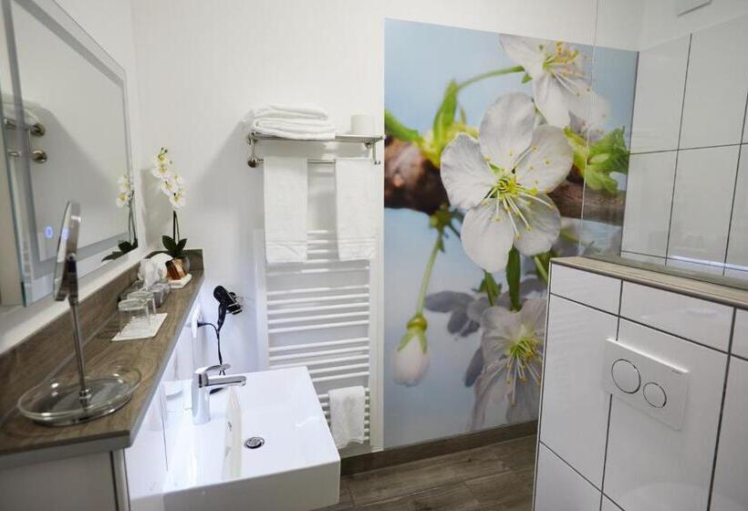 חדר סטנדרט מותאם לאדם עם מוגבלויות, Garni Am Schloss