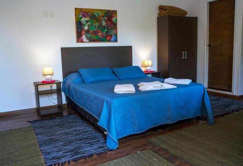 آپارتمان سوپریور 1 خوابه, Cabañas Patalsuelo