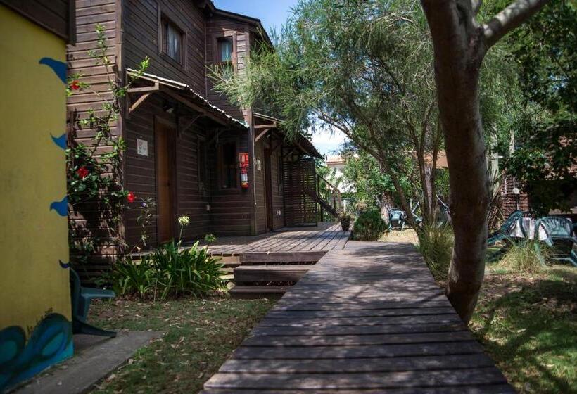 آپارتمان سوپریور 1 خوابه, Cabañas Patalsuelo